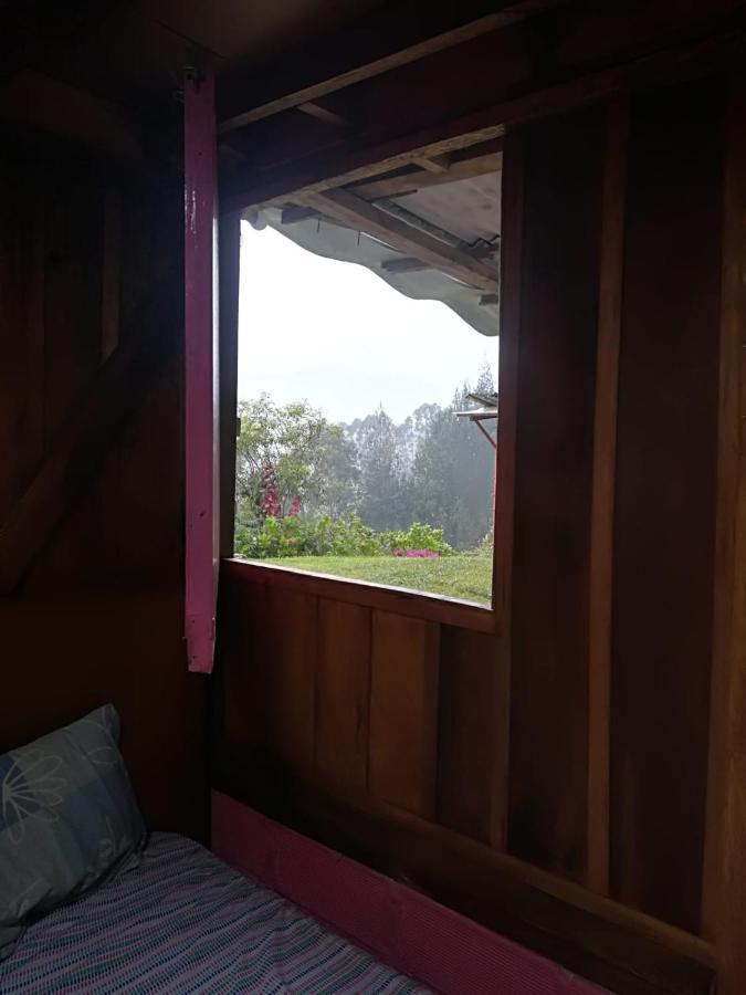 Finca Cafetera El Coral Jardín Exteriér fotografie