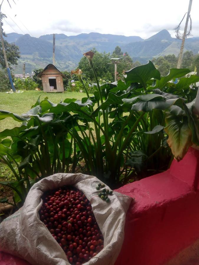 Finca Cafetera El Coral Jardín Exteriér fotografie