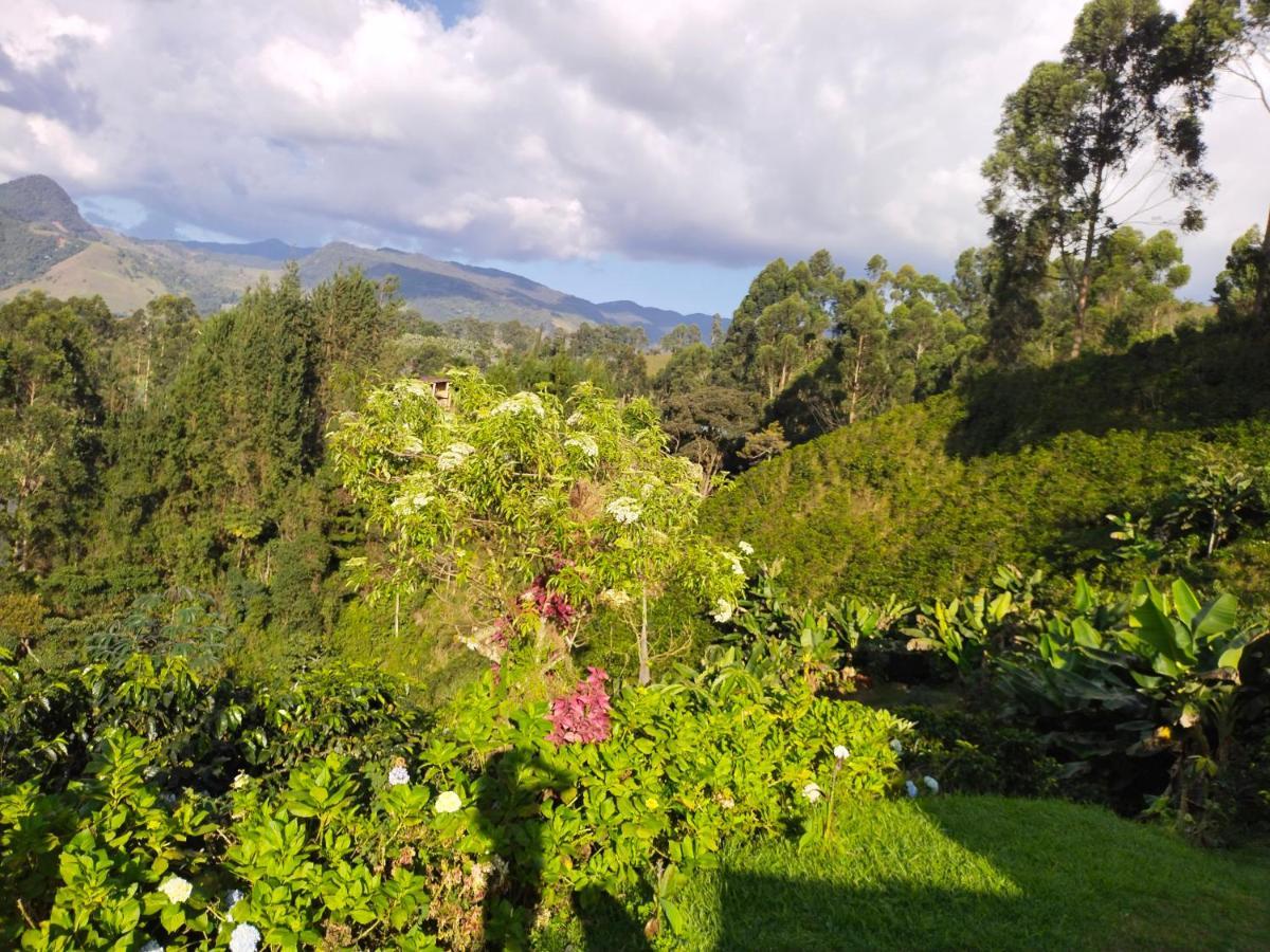 Finca Cafetera El Coral Jardín Exteriér fotografie